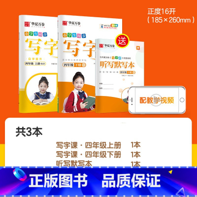 暑假衔接→4年级上下册(语文)2本 [正版]字帖写字课一二三四五六年级上册下册 下上语文英语同步练字帖一年级字帖练字小学