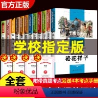 [正版]初中生必读课外书名著读物全套十二本骆驼祥子七年级原著海底两万里朝花夕拾西游记水浒传傅雷家书中学生阅读的书籍上册