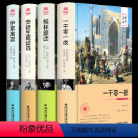 四大经典童话(安徒生+格林+伊索+一千) [正版]F一千零一夜 安徒生童话 格林童话 伊索寓言世界四大名著经典童话故事书