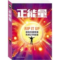 正版新书]正能量杨玉萍 著9787538583533