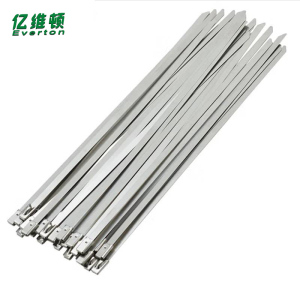 亿维顿 不锈钢扎带 4.6*800mm 100根 包