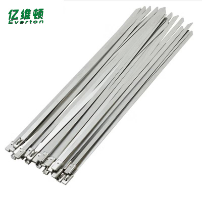 亿维顿 不锈钢扎带 4.6*800mm 100根 包
