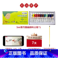 国画颜料初学套装 12色5ml [正版]青竹国画颜料 中国画颜料 健康无甲醛 国画基础入门工具套装 12色18色24色3