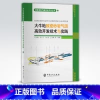 [正版]大牛地致密砂岩气田高效开发技术与实践 可供气田开发建设者参考阅读 致密、砂岩、开发、实践 中国石化出版社
