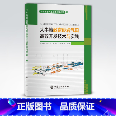 [正版]大牛地致密砂岩气田高效开发技术与实践 可供气田开发建设者参考阅读 致密、砂岩、开发、实践 中国石化出版社