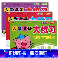 10以内+20以内+50以内加减法 幼小衔接 [正版]9册彩虹早教入学准备大练习拼音语言数学及描红加减法练习新蒙氏幼儿学
