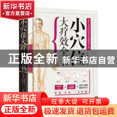 正版 小穴位大疗效全书 高海波,李海涛 江苏凤凰科学技术出版社 9