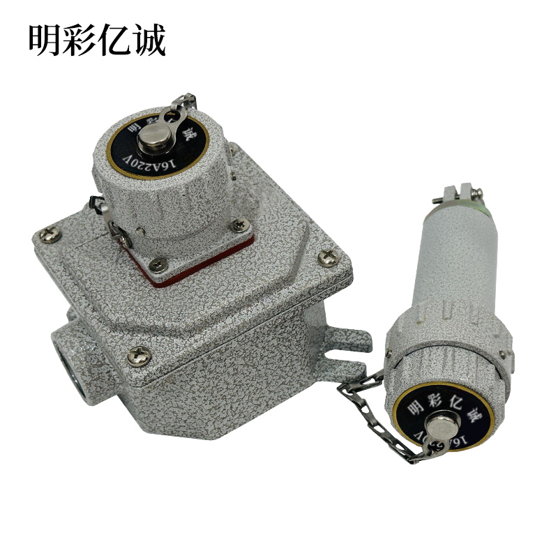 明彩亿诚 插座盒 单相三芯 16A220V 个