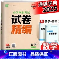 数学(小升初) [正版]2025通城学典 小学毕业考试试卷精编数学苏教版江苏版 六年级小升初数学总复习资料辅导书分类真题
