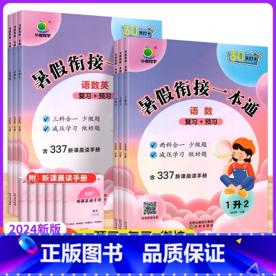 暑假衔接一本通 小学升初中 [正版]2024新版小橙同学暑假衔接一本通语文数学英语一年级二年级三年级四年级五年级小升初暑
