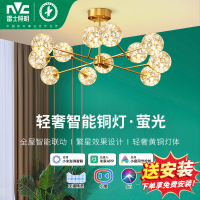 雷士照明客厅吊灯满天星客厅主灯卧室灯中山灯具萤光系列