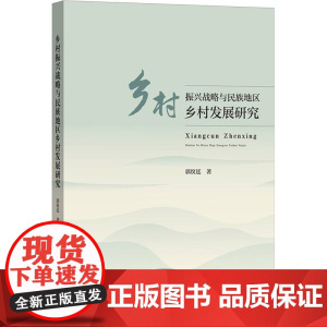 乡村振兴战略与民族地区乡村发展研究