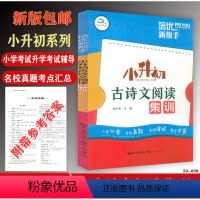 [正版]新版 培优新帮手 小升初古诗文阅读集训 古诗词真题训练与文言文真题训练 小升初小考必考全国名校毕业考试真题高效