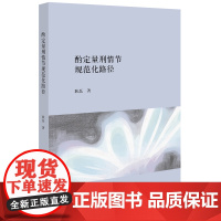 W正版 酌定量刑情节的规范化路径 耿磊 9787519704827 酌定量刑情节适用指导意见