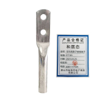 和居态 双孔铜鼻子接线端子 DT185 个