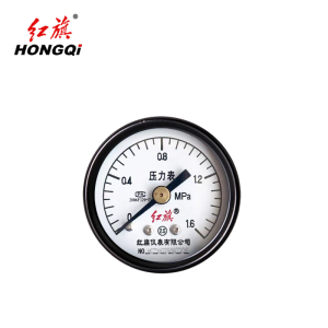 红旗 压力表轴向 Y50Z 0-1.6Mpa 块