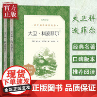 [正版全套2册]大卫科波菲尔 狄更斯经典名著书 托尔斯泰盛赞的英国小说代表作 名家经典世界名著小说书 人民文学出版社