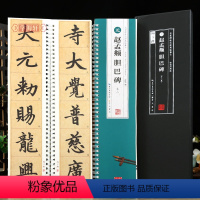 [正版]学海轩共2本赵孟頫胆巴碑名家碑帖近距离临摹卡米字格角注放大原帖临读对照简体旁注赵体楷书毛笔书法字帖字卡入门临摹