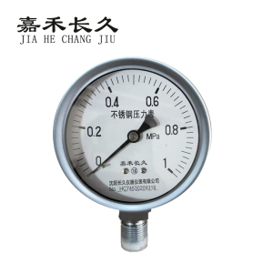 嘉禾长久 不锈钢耐温压力表检测型 Y100BF 块