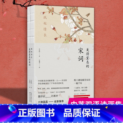 [正版]许渊冲英译纸短情长 美得窒息的宋词 英汉对照 吴俣阳著 朗读者嘉宾诺贝尔奖候选人许渊冲亲译 典藏宋词诗画集散文