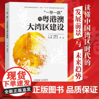 一带一路与粤港澳大湾区建设 大国如何建设好大湾区在海洋强国战略中的角色定位粤港澳大湾区内“一国两制”探索发展