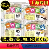 套装 九年级/初中三年级 [正版]2024春一卷搞定 语文数学英语物理化学 六七八九年级上下册 第6版 6789第一二学