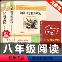 [配套人教版3册]钢铁+经典常谈+文言文全解 [正版]经典常谈朱自清和钢铁是怎样炼成的必读原著八年级下册课外书初中阅读名