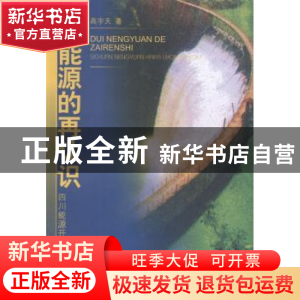 正版 对能源的再认识 高宇天著 西南财经大学出版社 978755040733
