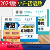 [正版]2024版考进名校小升初真题卷语文数学试卷全套 成都市八大名校小升初历年招生考试真题集锦 四川重点中学小学五六
