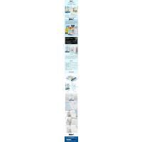 白鲸国际大奖作家书系·第五辑:自我学院