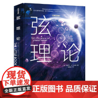 弦理论(精装版)