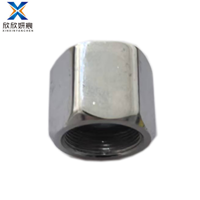 欣欣妍宸 花洒杆接头 4分粗细牙 /个