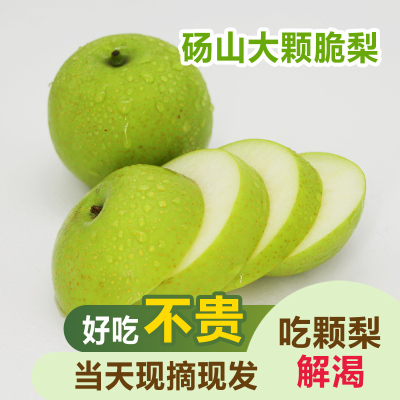 青皮蜜梨砀山翠冠青皮梨净重3斤新鲜当季果园直采脆梨水果 甜脆多汁 皮薄肉厚