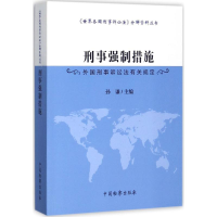 音像刑事强制措施孙谦 主编