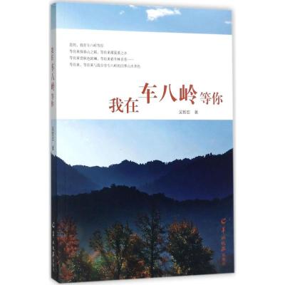 我在车八岭等你