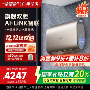 史密斯80升电热水器 家用 双胆扁桶 纤薄黑科技 大屏触控 双擎速热 E80HGDWi一级能效 储水式