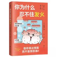 正版新书]你为什么忍不住发火[日]水岛广子 著;吴静 译978721