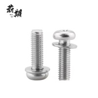 蔚期 十字盘头带平垫二合一螺钉 M3*16 个