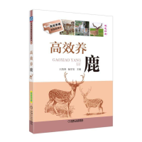 醉染图书高效养鹿9787111614944