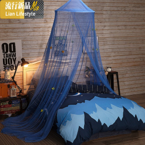 圆顶吊顶蚊帐宫廷落地公主单人床1.5米1.8m床加密加厚家用免安装 三维工匠