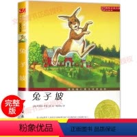 [正版]兔子坡书 国际大奖小说小学生课外阅读书籍三年级四五六年级必读新蕾出版社 老师班主任7-8-10-12-15岁