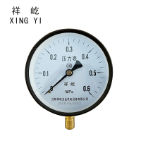 祥屹 压力表 Y150 1.6级 块