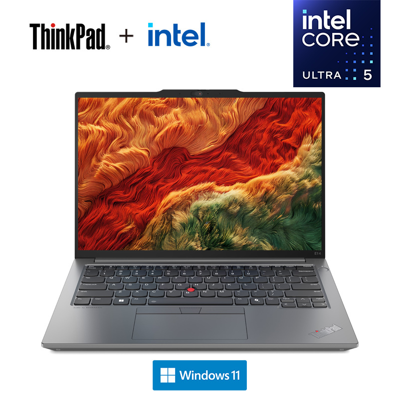 ThinkPad E14 1CCD AI 2024 经典商务本 14英寸笔记本电脑 定制英特尔酷睿Ultra 5 125H 16G 2T固态 锐炫Arc显卡 2.2K高色域 银
