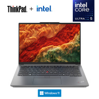 ThinkPad E14 1CCD AI 2024 经典商务本 14英寸笔记本电脑 定制英特尔酷睿Ultra 5 125H 16G 2T固态 锐炫Arc显卡 2.2K高色域 银