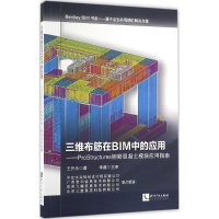 音像三维布筋在BIM中的应用王开乐 著