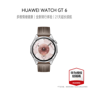 华为/HUAWEI WATCH GT 6 冰川灰 46mm智能手表 多维情绪健康 全新骑行体验 21天超长续航华为GT6手表GT5升级