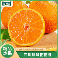 [苏鲜生]四川耙耙柑 净重3斤 大果 单果75mm+ 产地精选 甜美多汁 坏果包赔