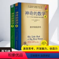 [正版]神奇的数学 517个开发大脑潜能的数学谜题升级版上下套 伊凡•莫斯科维奇 10-12-15岁初中小学生益智很美