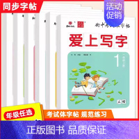 爱上写字正楷字帖 五年级上 [正版]2024版状元笔迹衡中考试体字帖爱上写字一二三四五六123456年级上下册语文正楷小