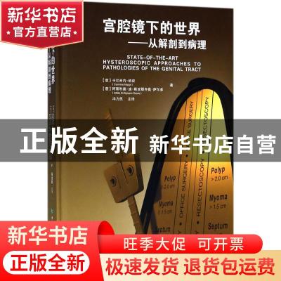 正版 宫腔镜下的世界:从解剖到病理